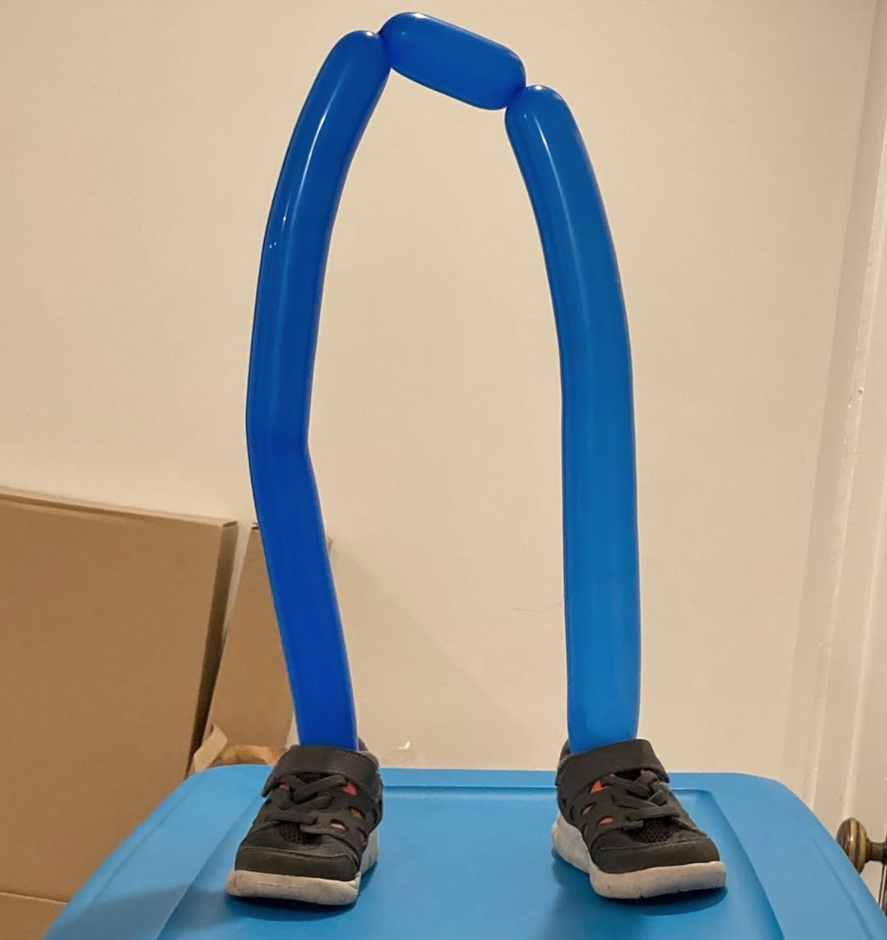 Untitled (Balloon Shoes)