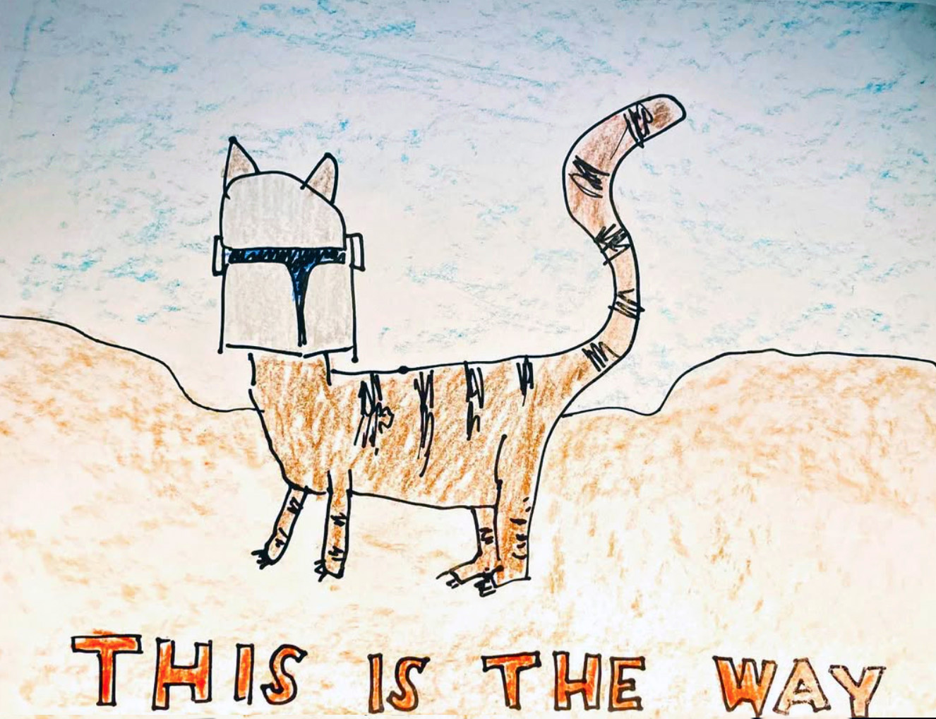 Untitled (Mandalorian Tabby)